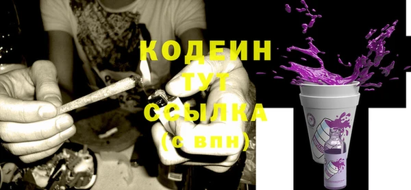 ПСИЛОЦИБИНОВЫЕ ГРИБЫ Абаза