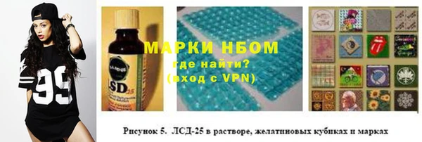 ПСИЛОЦИБИНОВЫЕ ГРИБЫ Абаза