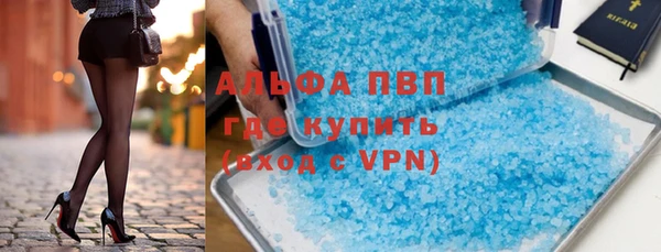 прущие грибы Сатка