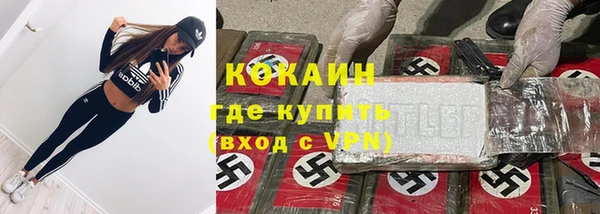 ПСИЛОЦИБИНОВЫЕ ГРИБЫ Абаза