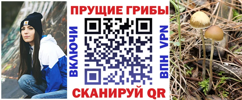 Галлюциногенные грибы MAGIC MUSHROOMS  блэк спрут зеркало  Кириллов  где купить наркоту 
